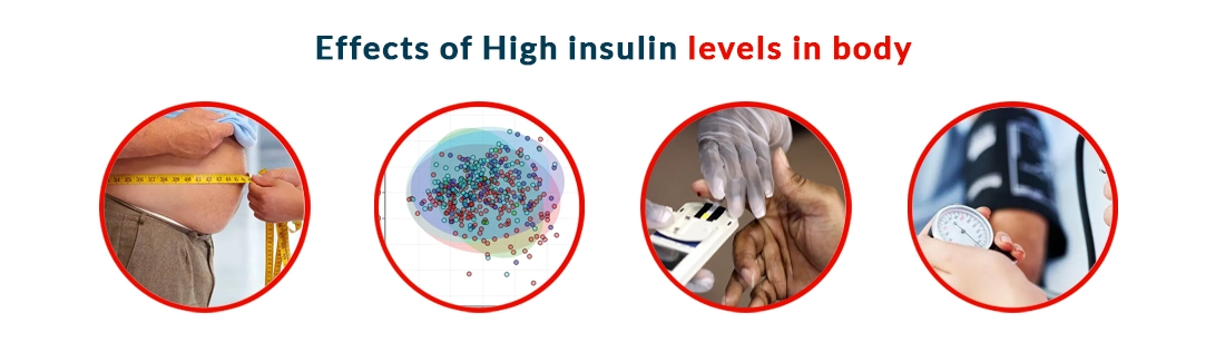 Effects of High Insulin Levels in Our Body